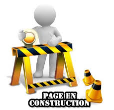 Logo Natation Val de l'eyre